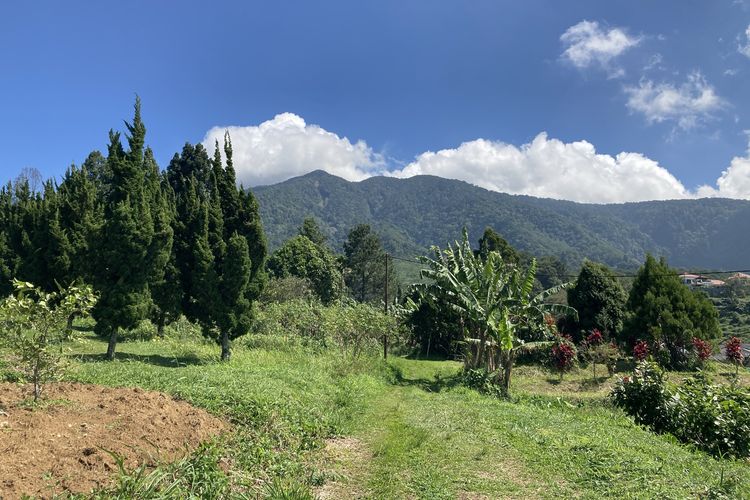 Iconic Place : Taman Nasional Gunung Halimun Salak